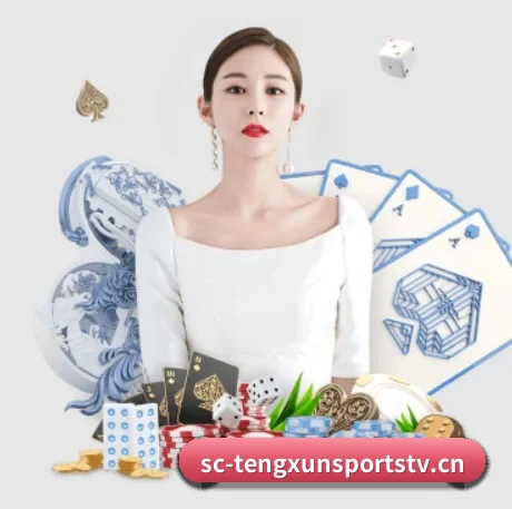 市场拓展 - 注册用户突破500万,与多家国际顶级内容供应商建立战略合作。